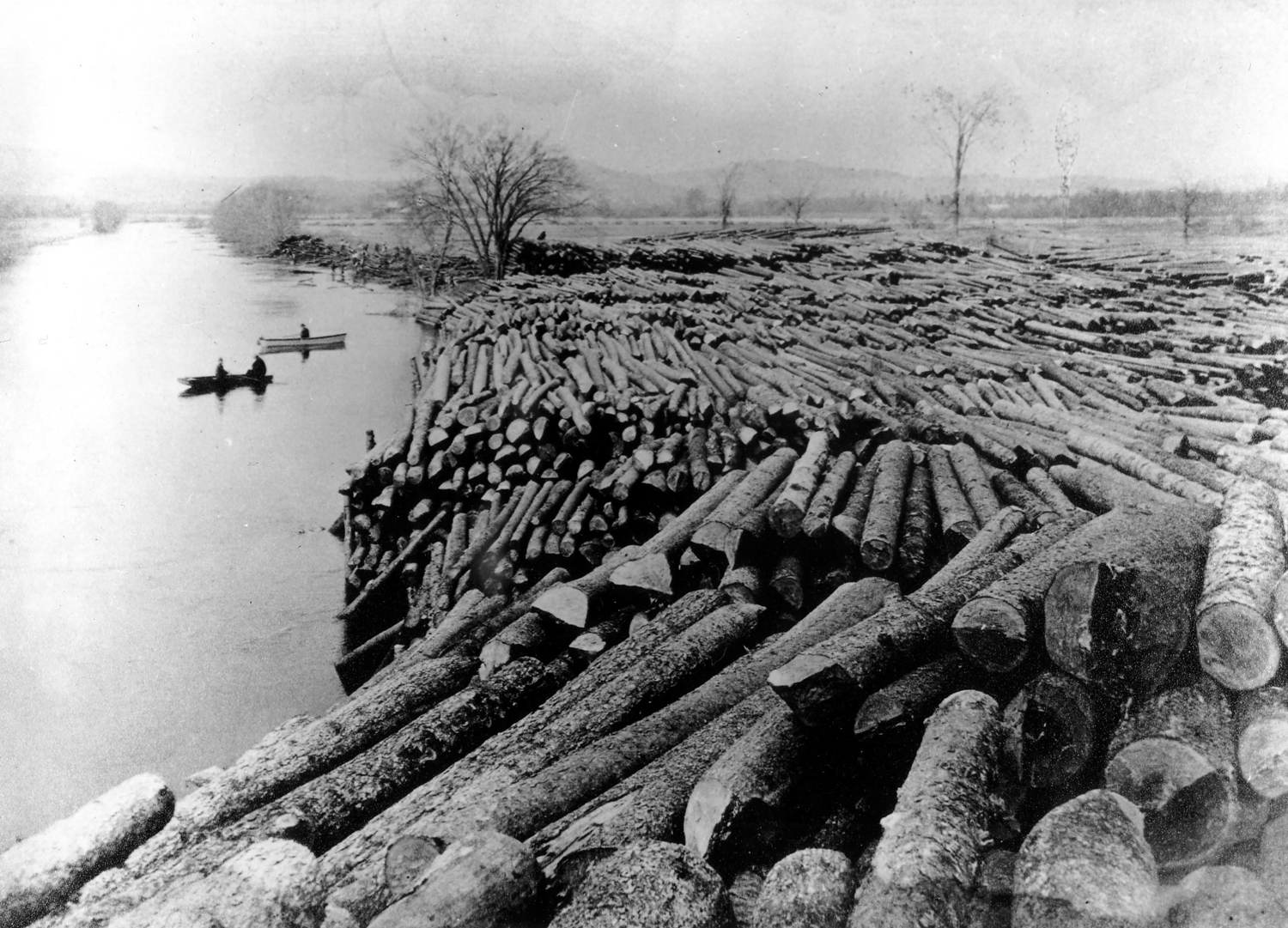 LS02112_000.jpg