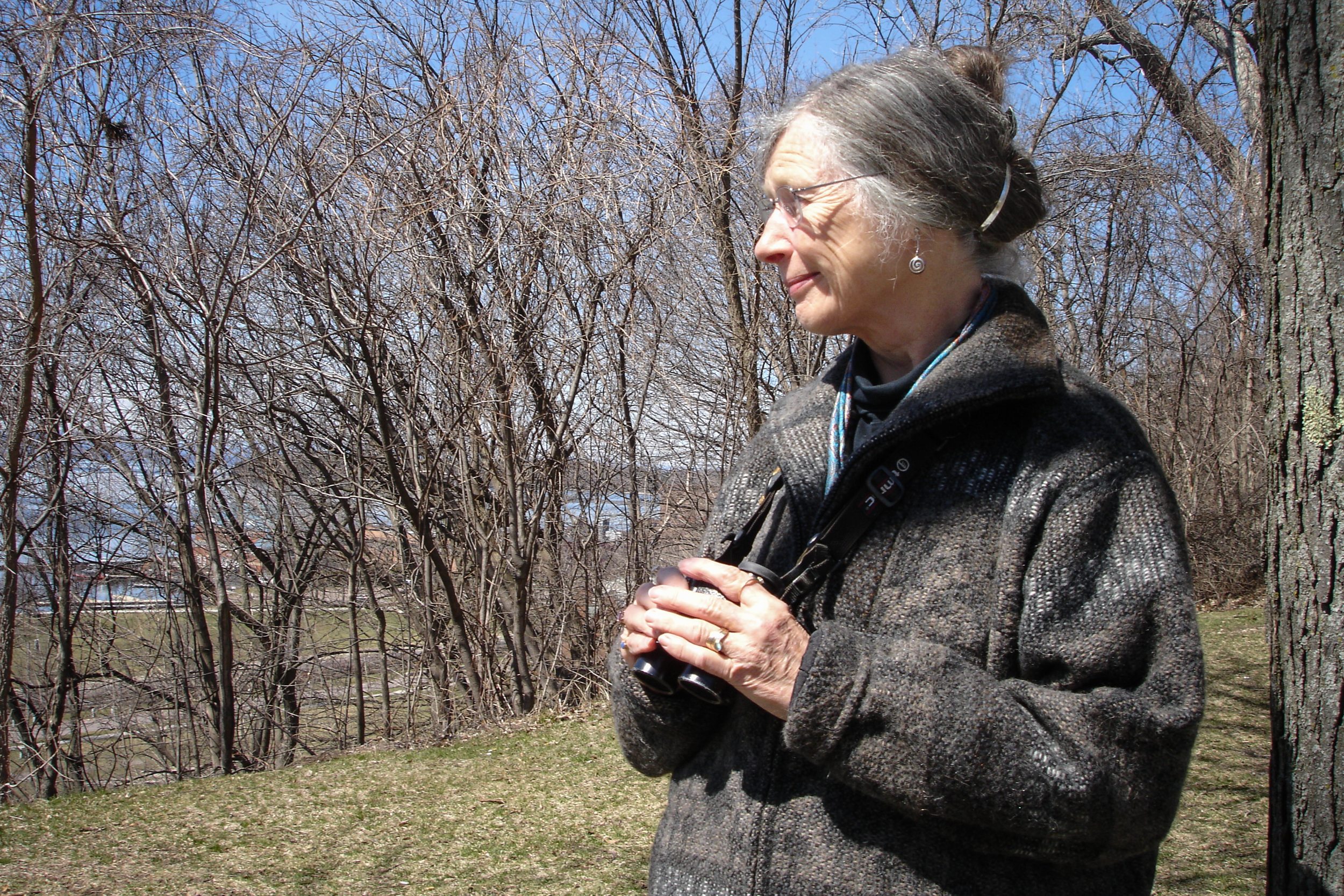 Sally birding for Bohemian Waxwings overlooking the waterfront, near Battery Park, in Burlington, VT. Photo by Andrea Robertson.