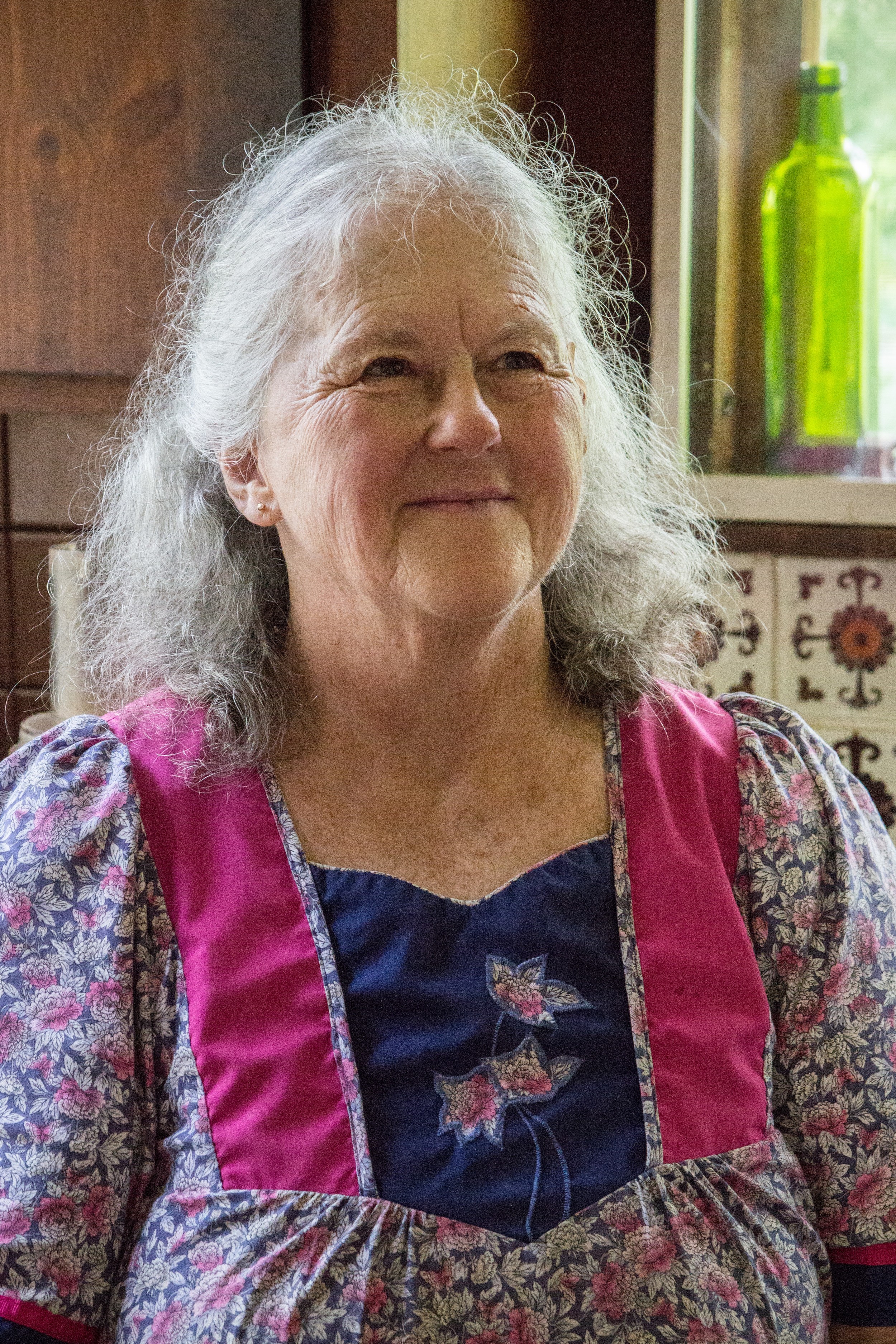 Carol Levin at home in Guilford, VT. Her home has solar domestic hot water as well as a 1KW grid-tied photovoltaic system. Photo by Dorothy Weicker.