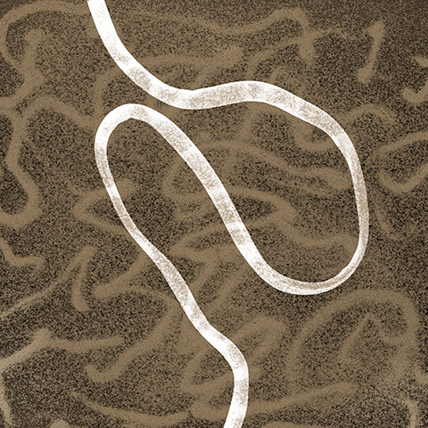 Sandgraph #8 Archival pigment print on wood panel Limited edition size: 12” x 12 “