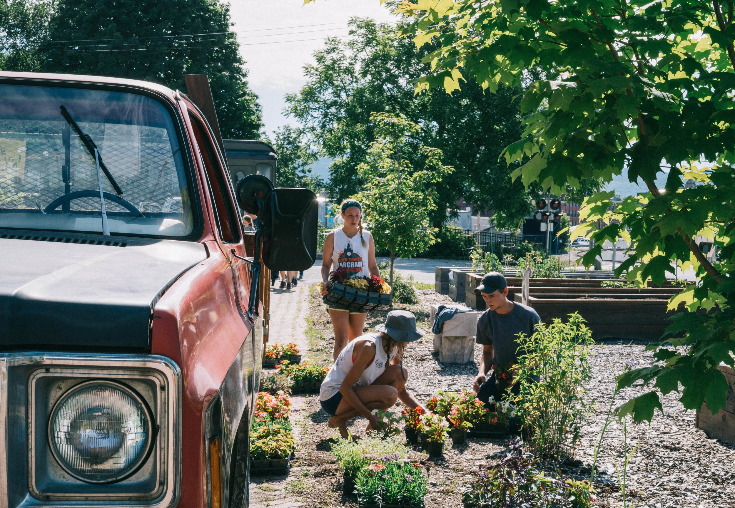Boardman Hill Farm. Photo by Macaulay Lerman.