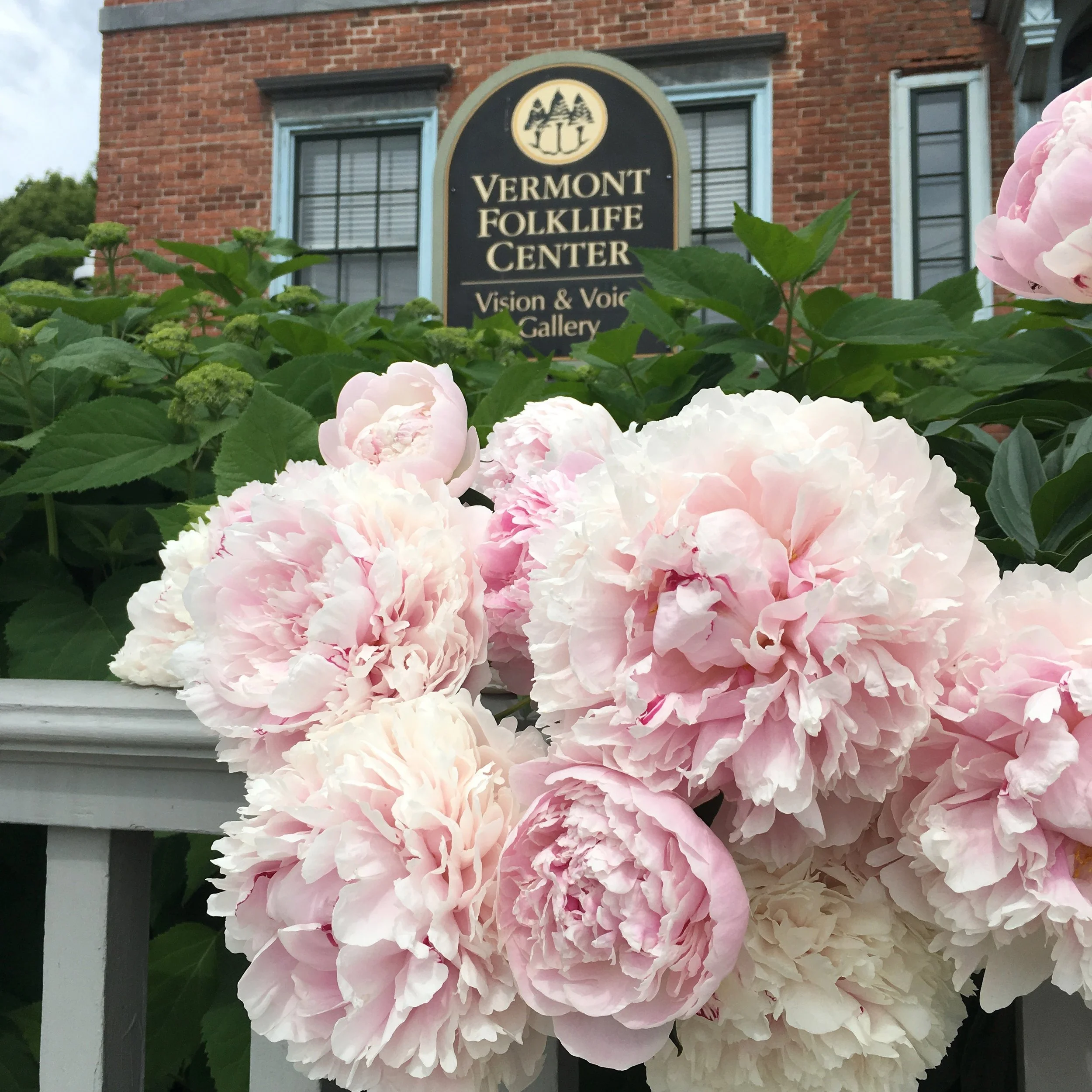 VT Untapped: Late Summer Update