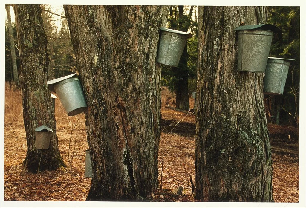 Episode 19: Sweetest Joys Indeed