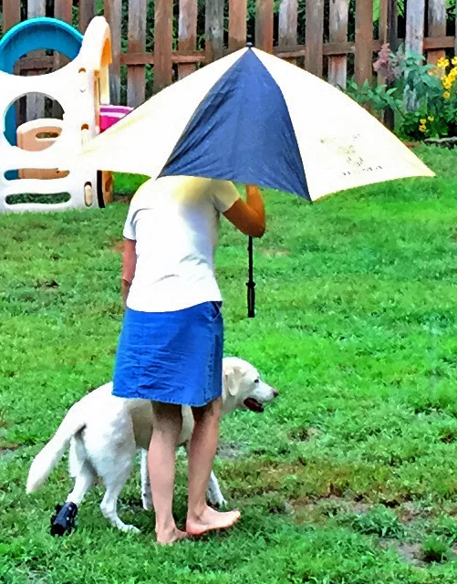 My retired service dog, Clarence, depends on me for his every need. All our wonderful pets depend on our care giving and protection, especially when we may be facing a bad storm or disaster of any kind.