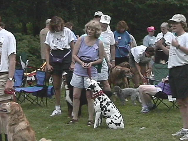 009_9.JPG