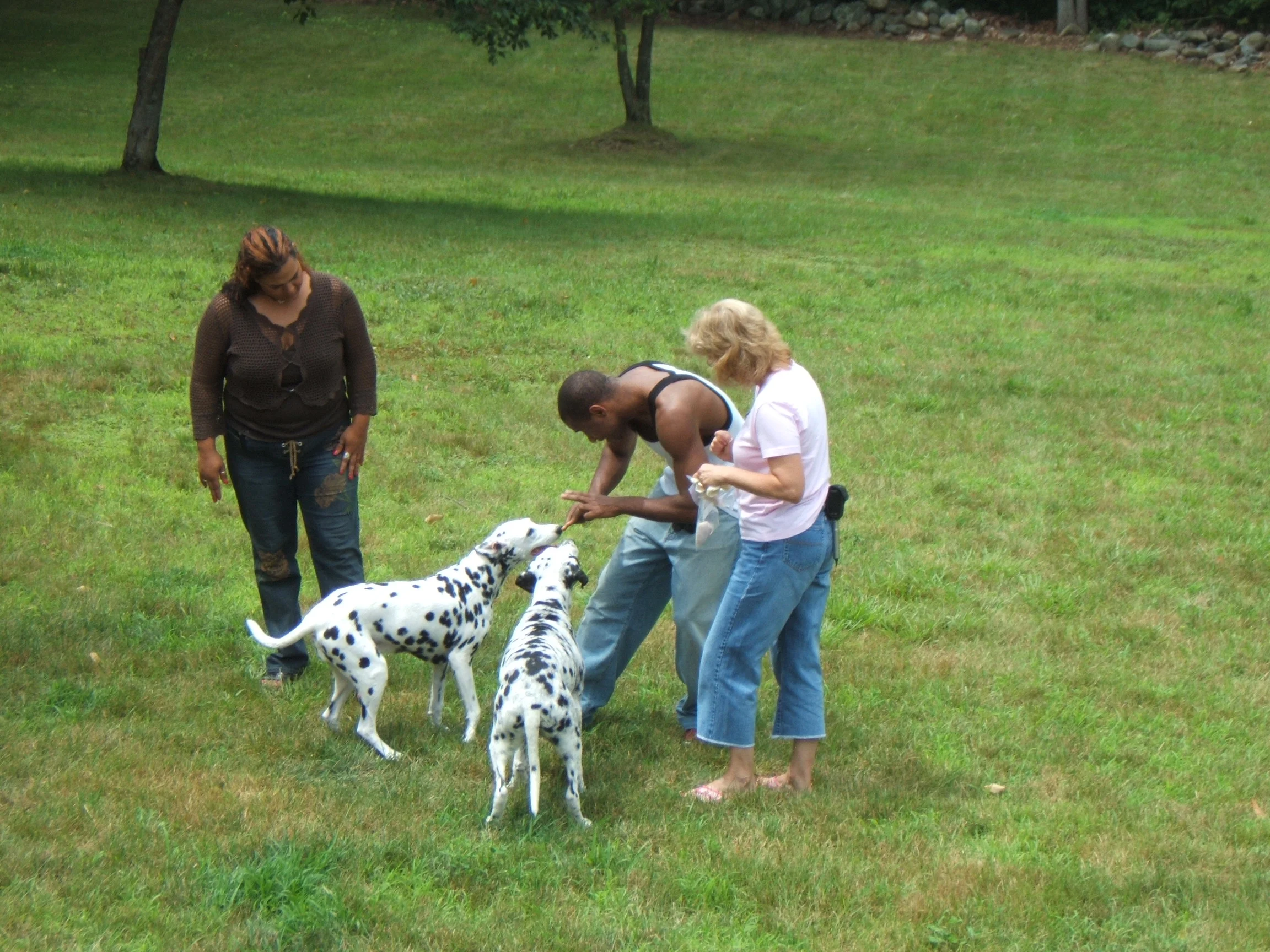University Students Learn Sign Language to Talk with Deaf Dogs