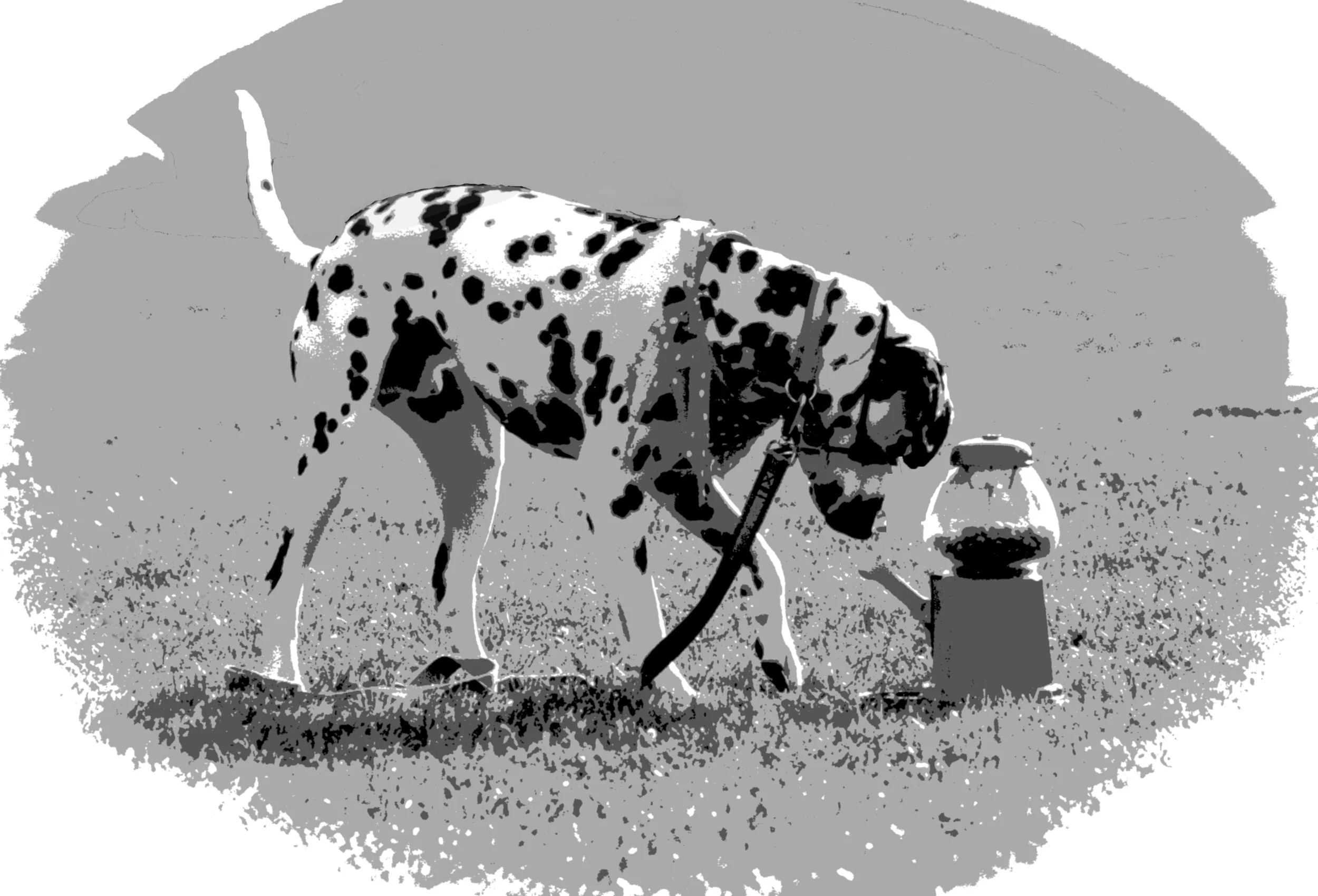 Deaf dogs can learn just as well as any hearing dog.