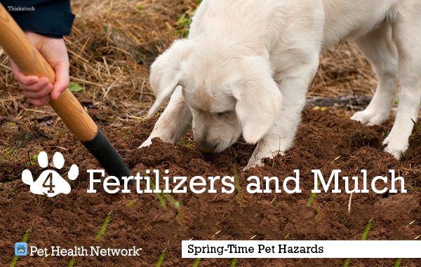 4-fertilizer-mulch154079563_0.png
