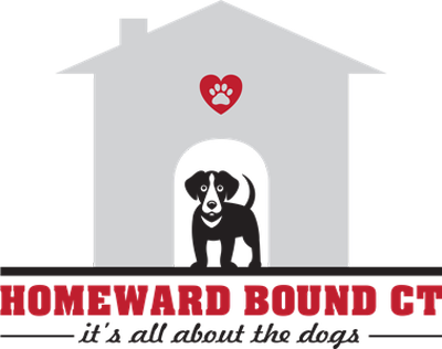 Chester Dog Fair 400.png