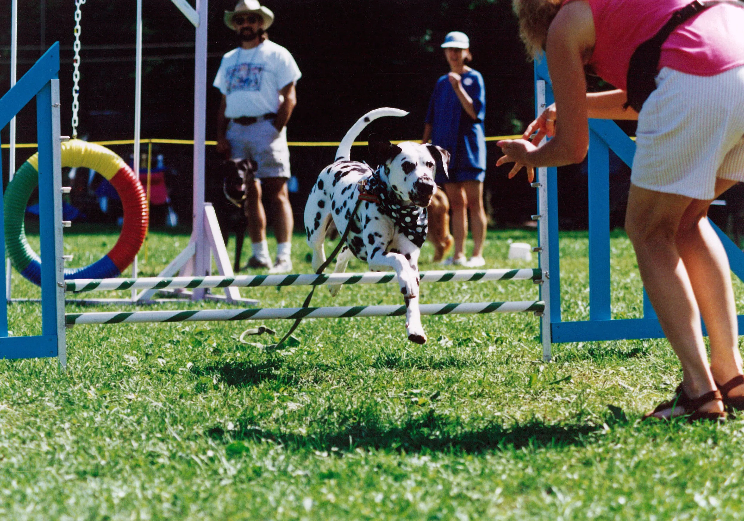 24b_Agility_Jump_Signing_COLOR.jpg