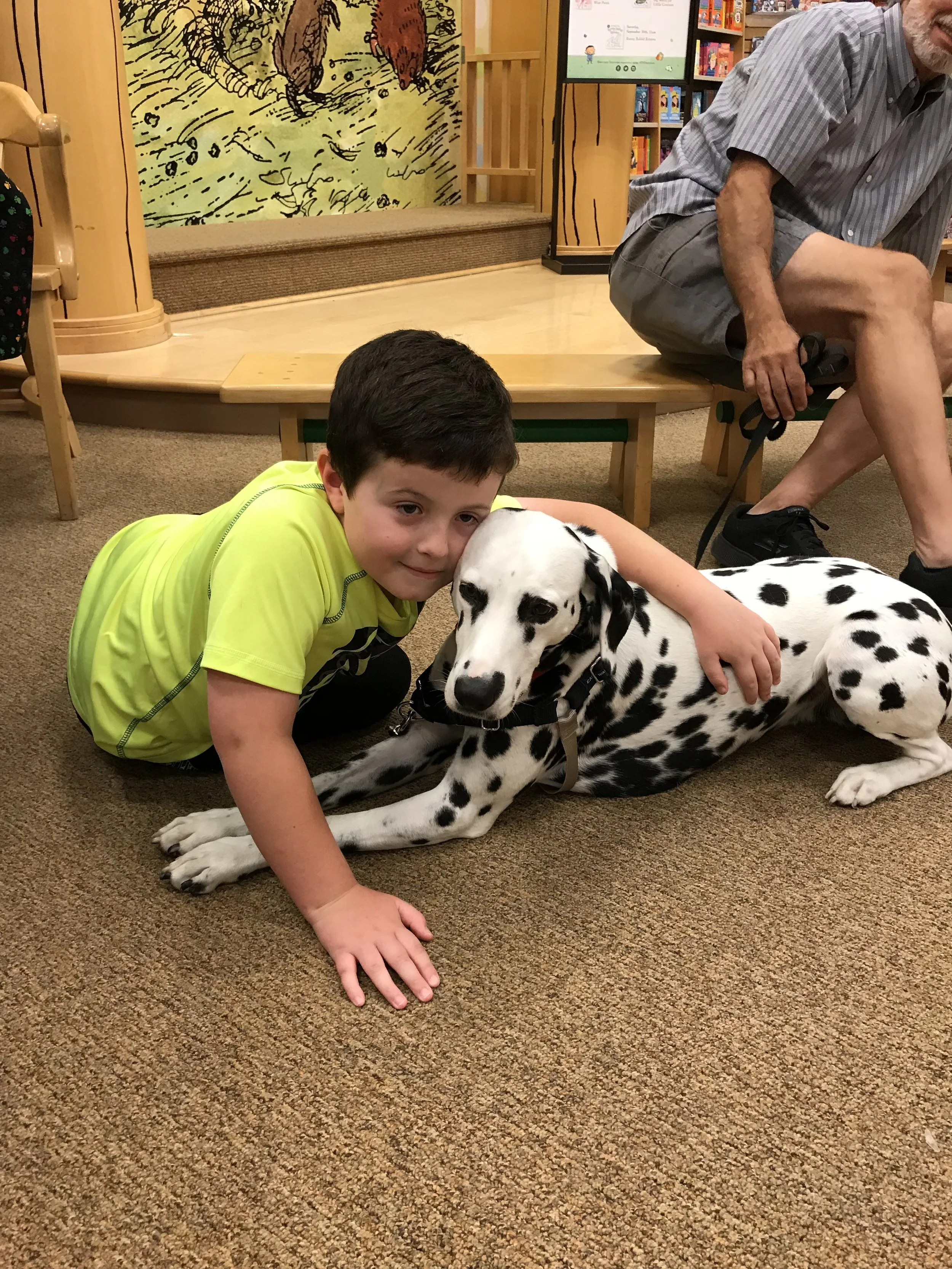 The Benefits Of Peroxide&nbsp;and Pet Safety