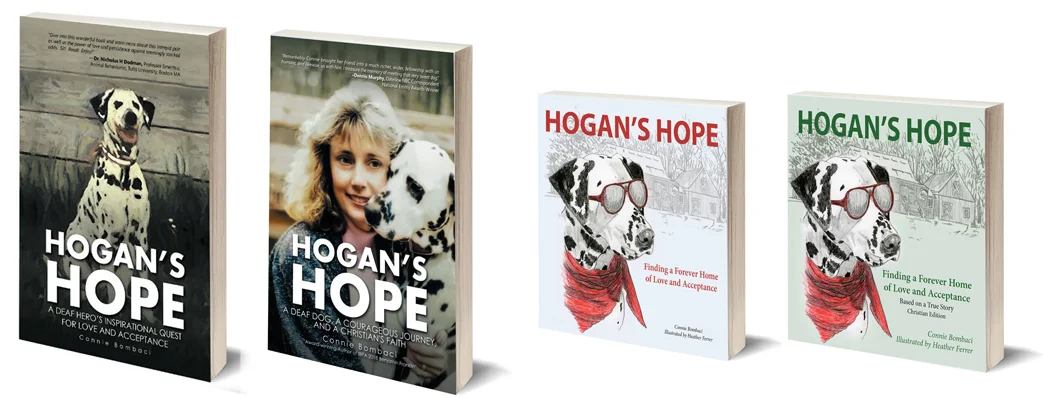 00_4_BOOK_Banner_Signature.jpg