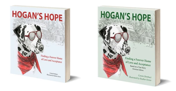 Books are available in secular and/or Christian editions.