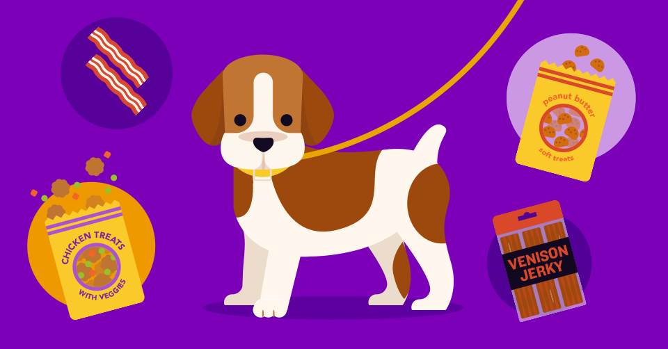 Guide to Training our Puppies - Hearing or Deaf Dogs