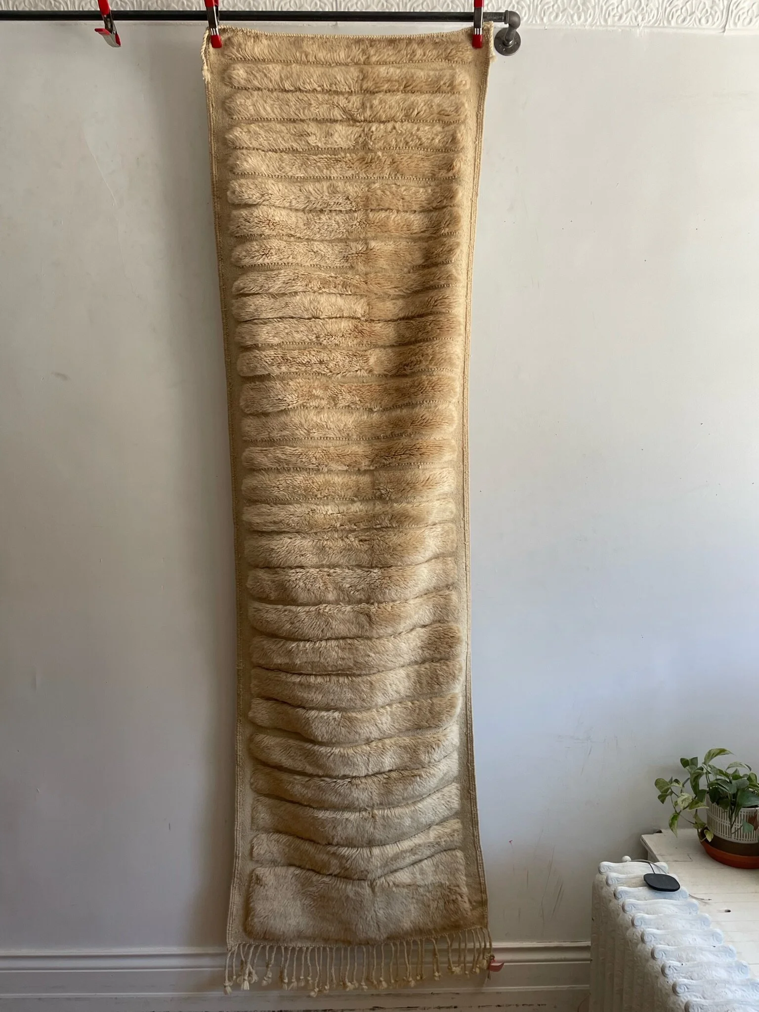 B5C42801-18CC-4972-8D9B-04454DD1CDC2