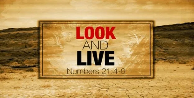 How Will You Be Counted? Message #5 - Look and Live