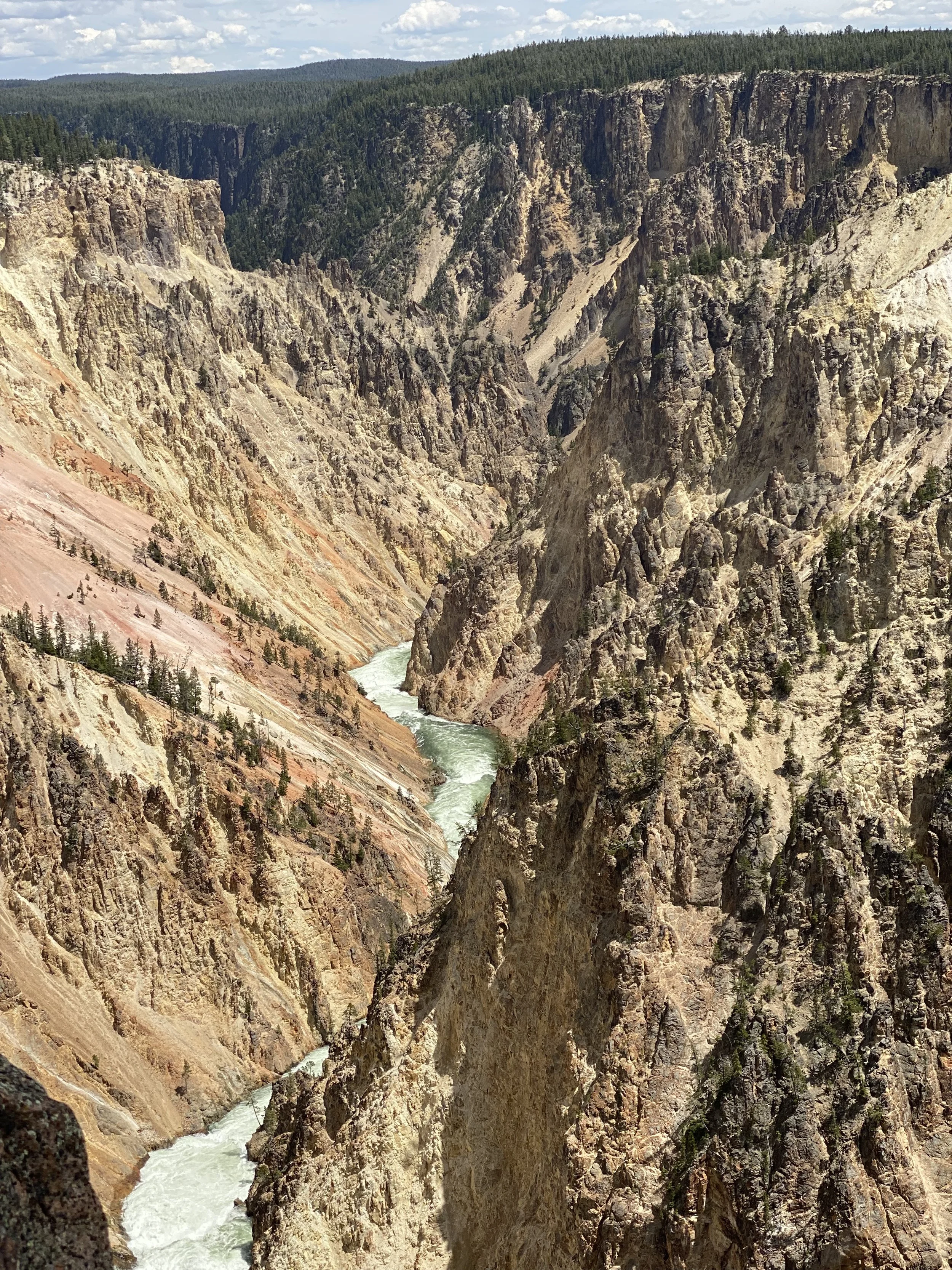 The Hill Family Service