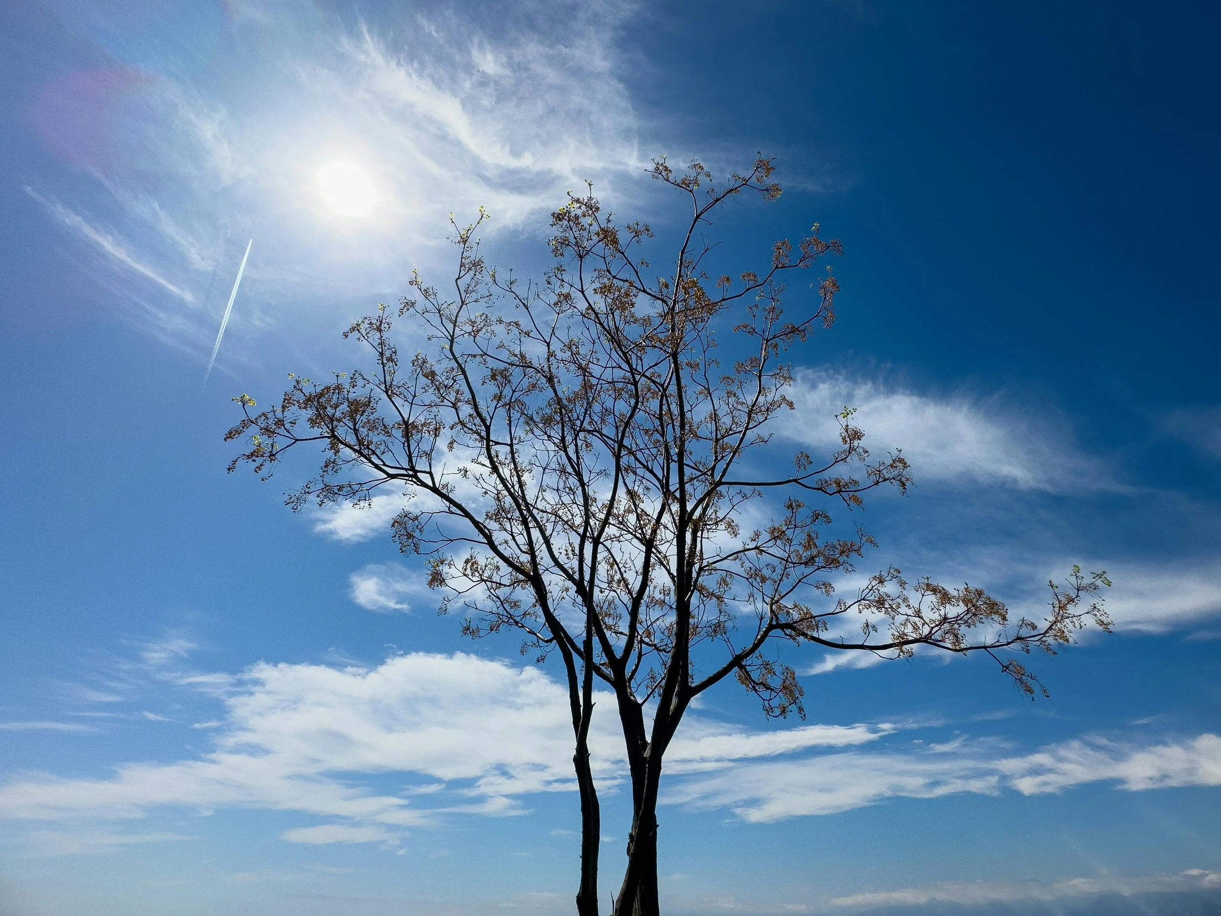 One Day Revival with Dr. Bob Kendrick