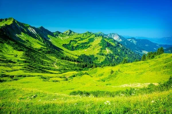 Pressing Toward the Goal