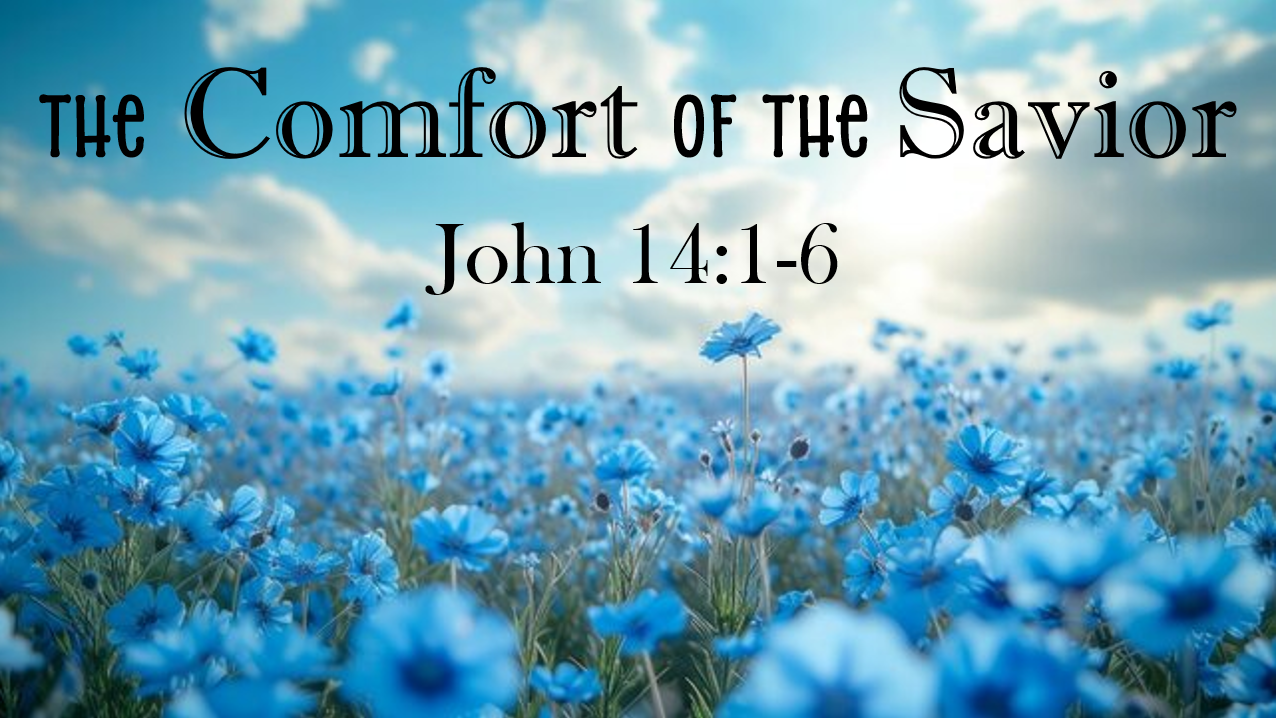 The Comfort of the Savior