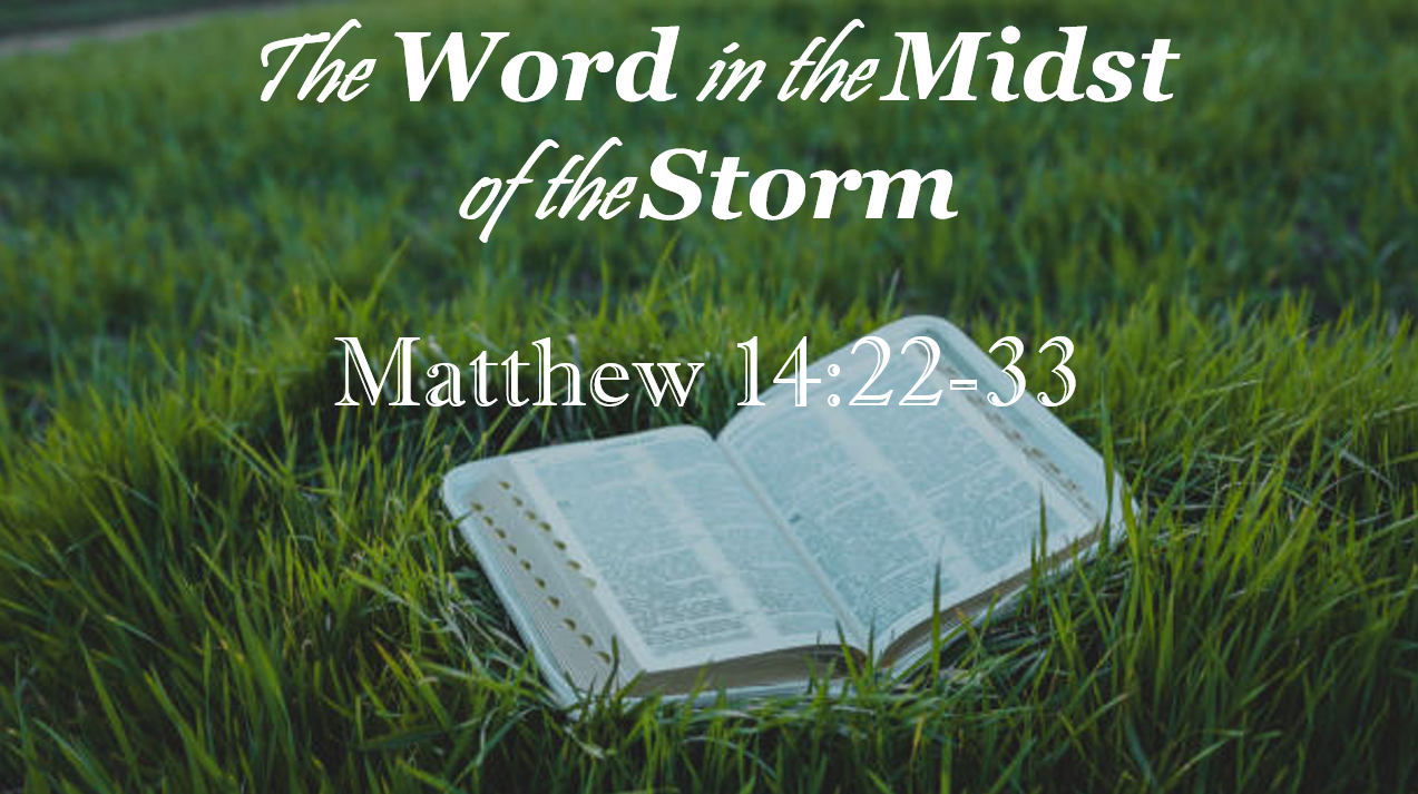 The Word in the Midst of the Storm