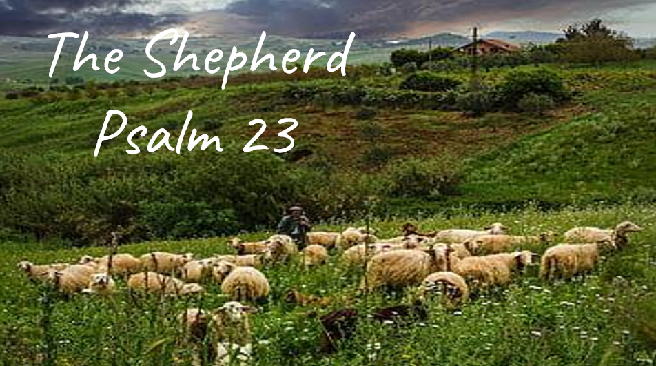 The Shepherd