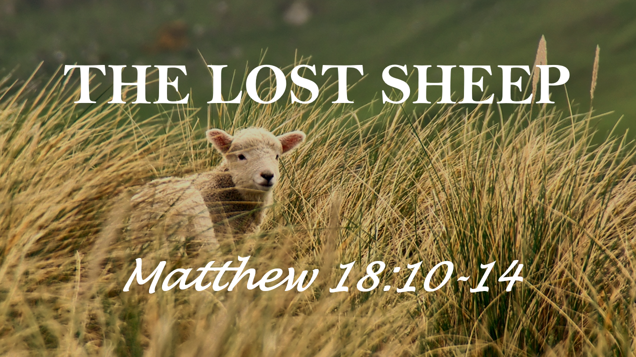 The Lost Sheep