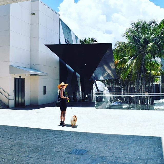 Me and my top dog, Lissy. #pomeranian #designer #designerdog #miami #interiordesign #takeawalk #inpiration #fluffy #sunshine