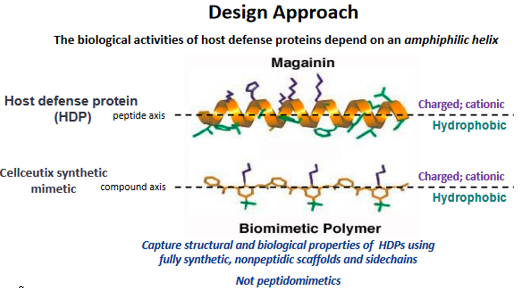Brilacidin’s Mechanism of Action; Targeting the IL-17 Pathway