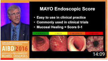 Dr. Francis A. Farraye on the Use of Endoscopy in Inflammatory Bowel Disease (IBD)