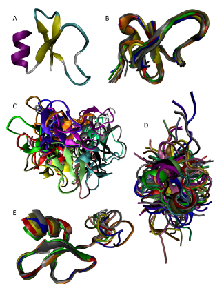 The Role of Defensins in Innate Immunity and the Host Defense Response