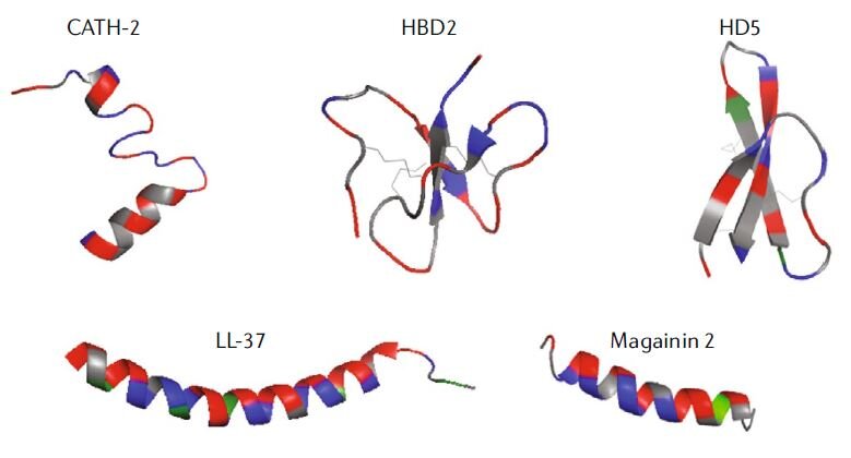 Review Article Supports Brilacidin’s Therapeutic Potential as a Defensin-Mimetic Drug Candidate