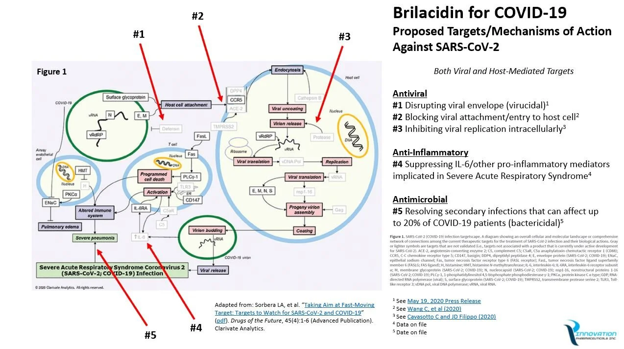 Brilacidin for COVID-19: Proposed Targets and Mechanisms of Action Against SARS-CoV-2