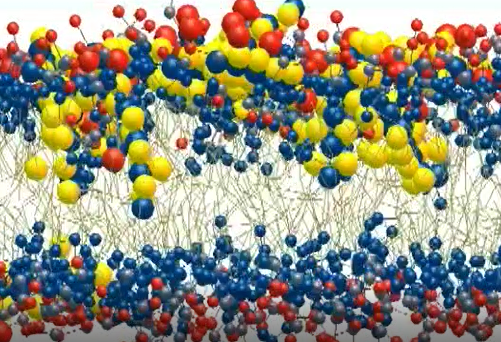 Scientific Advisor William F. DeGrado Gives Keynote Lecture at 2021 Faraday Discussion, also Co-Awarded the 2020 John Scott Medal