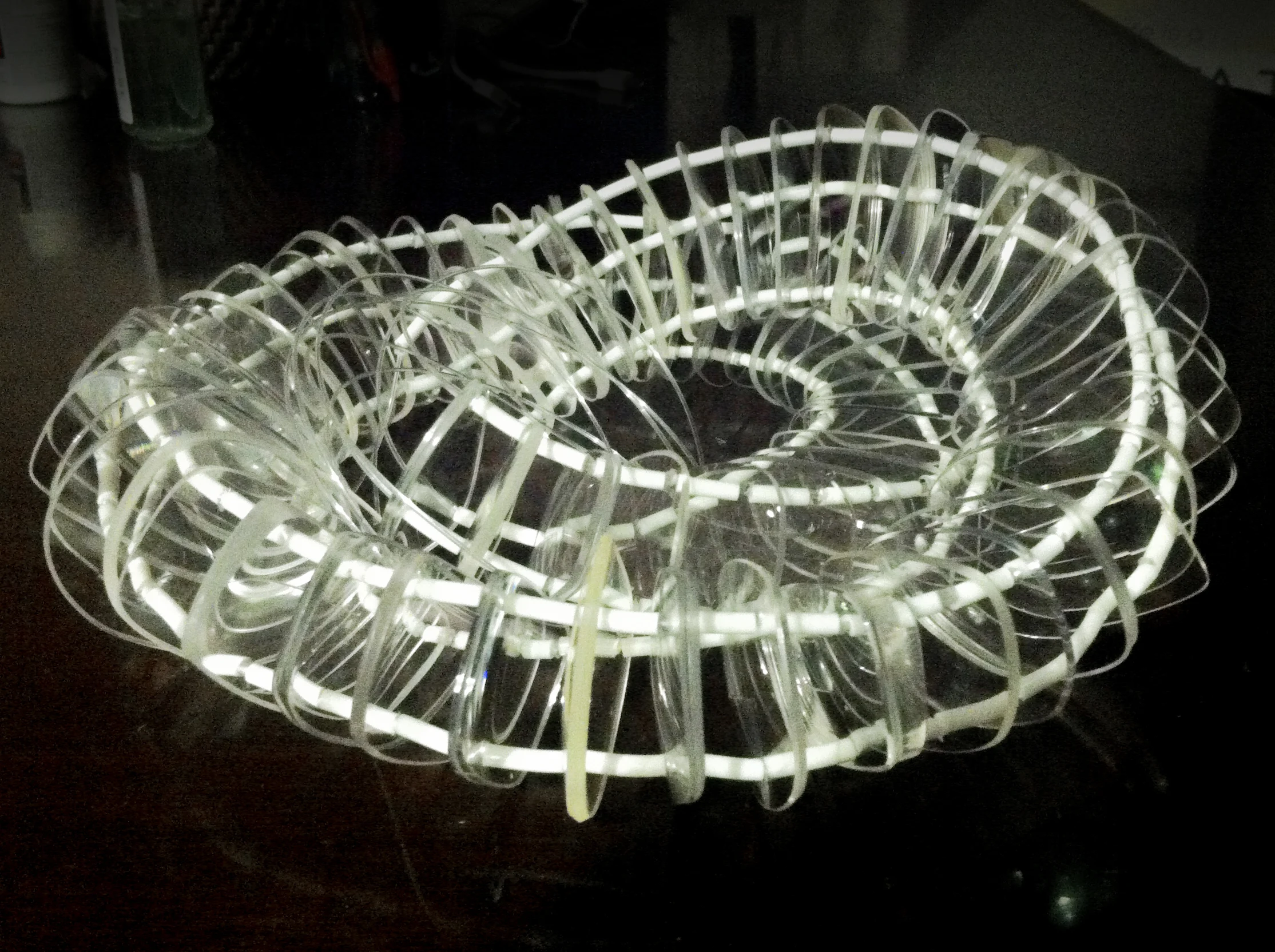 lens_skeleton_mid_iteration.jpg