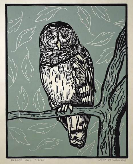 Barred Owl 2015, 3 color linoleum print on rice paper. Edition of 20. The green background varies throughout the edition. 9.5" x 7.5"
