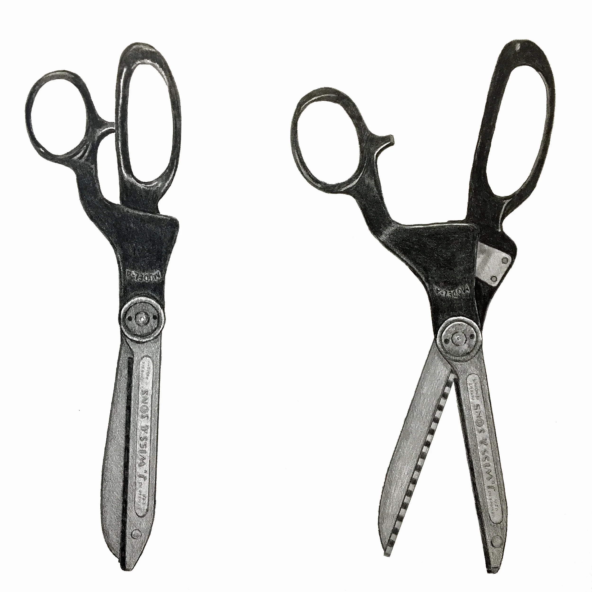 pinking shear drawing.jpg
