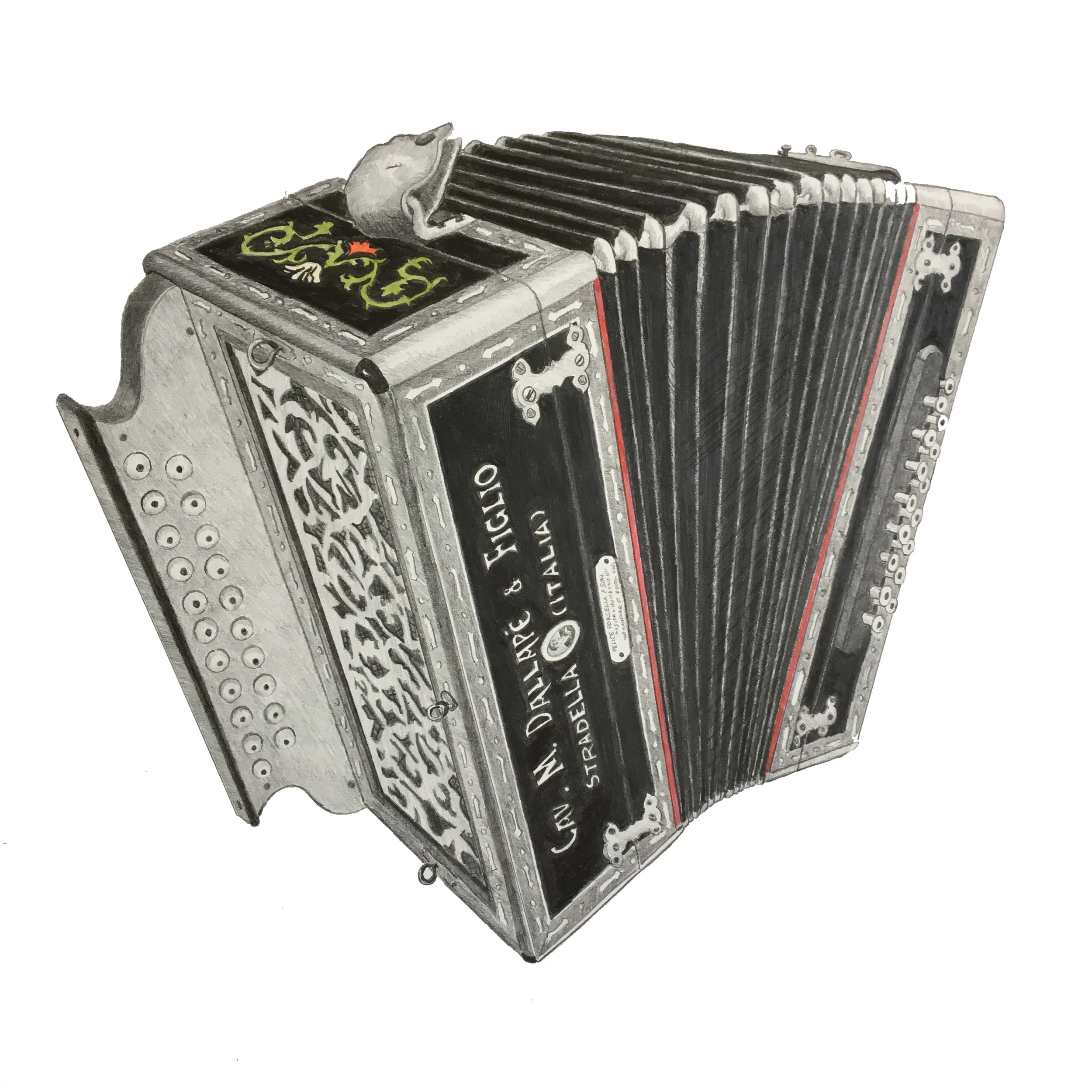 opened accordion.jpg