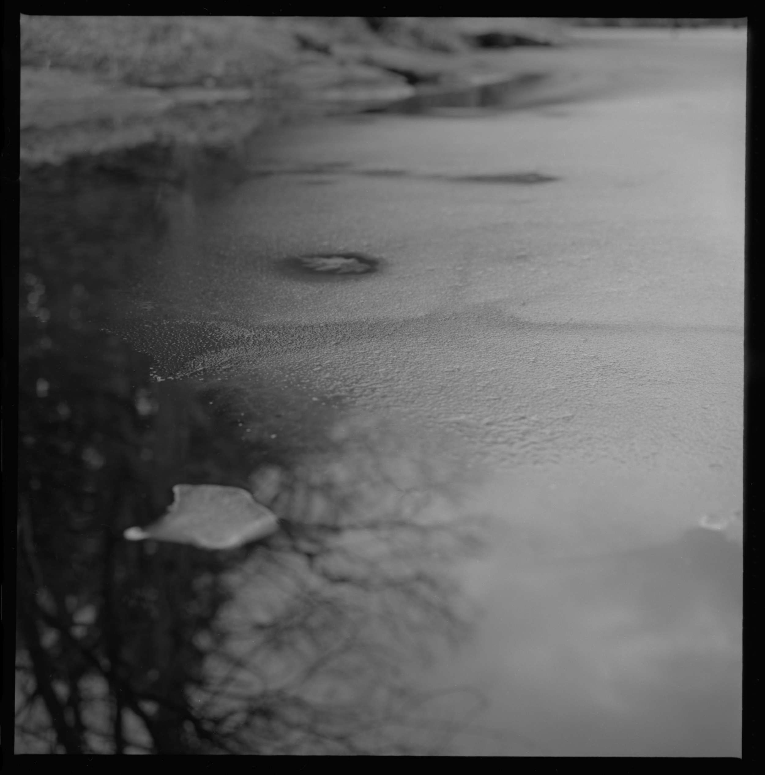 Georgetown, Maine, 2016