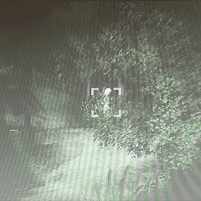 Well-Woman-v1.gif