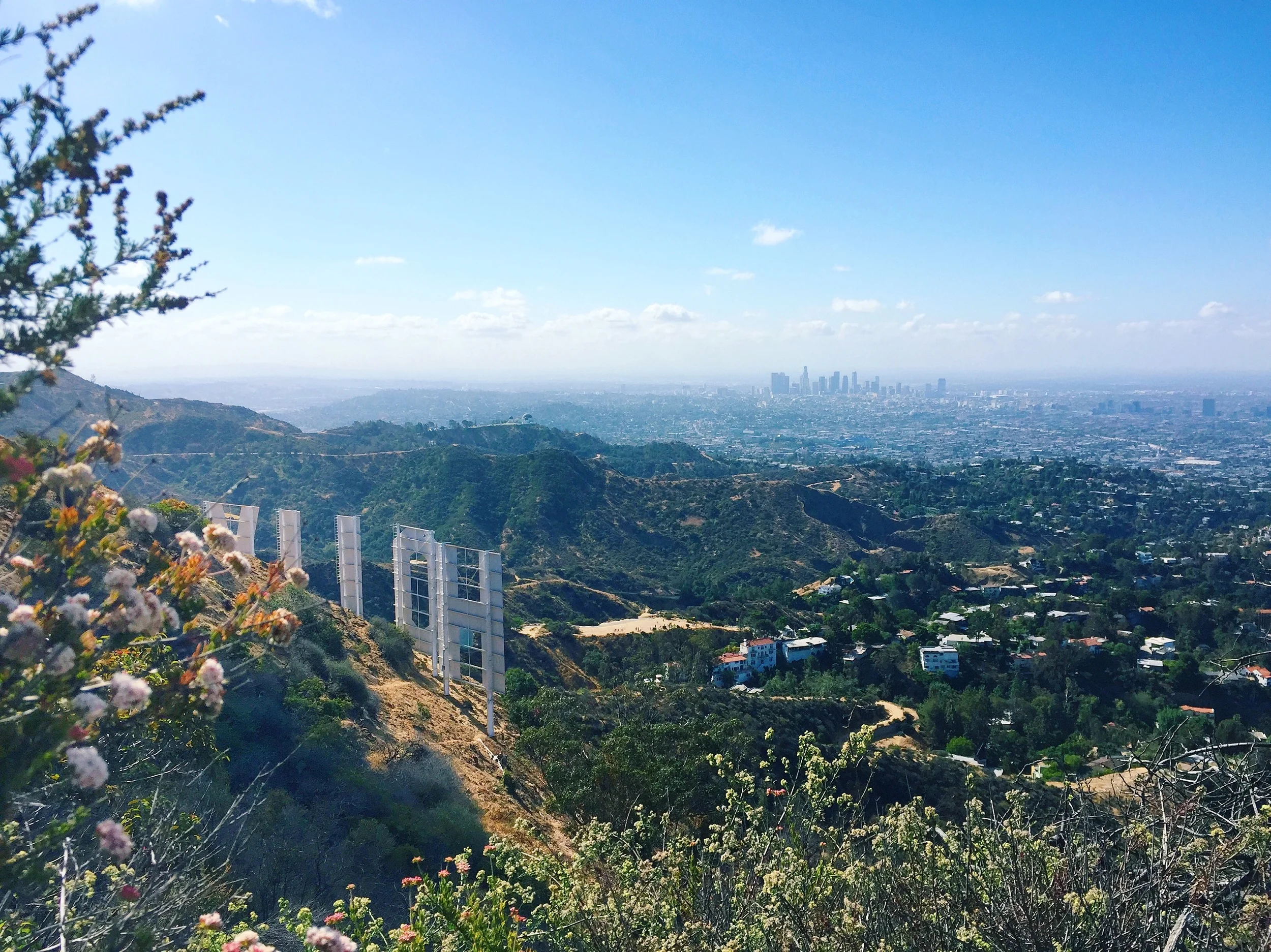 Hollywood Sign Hike