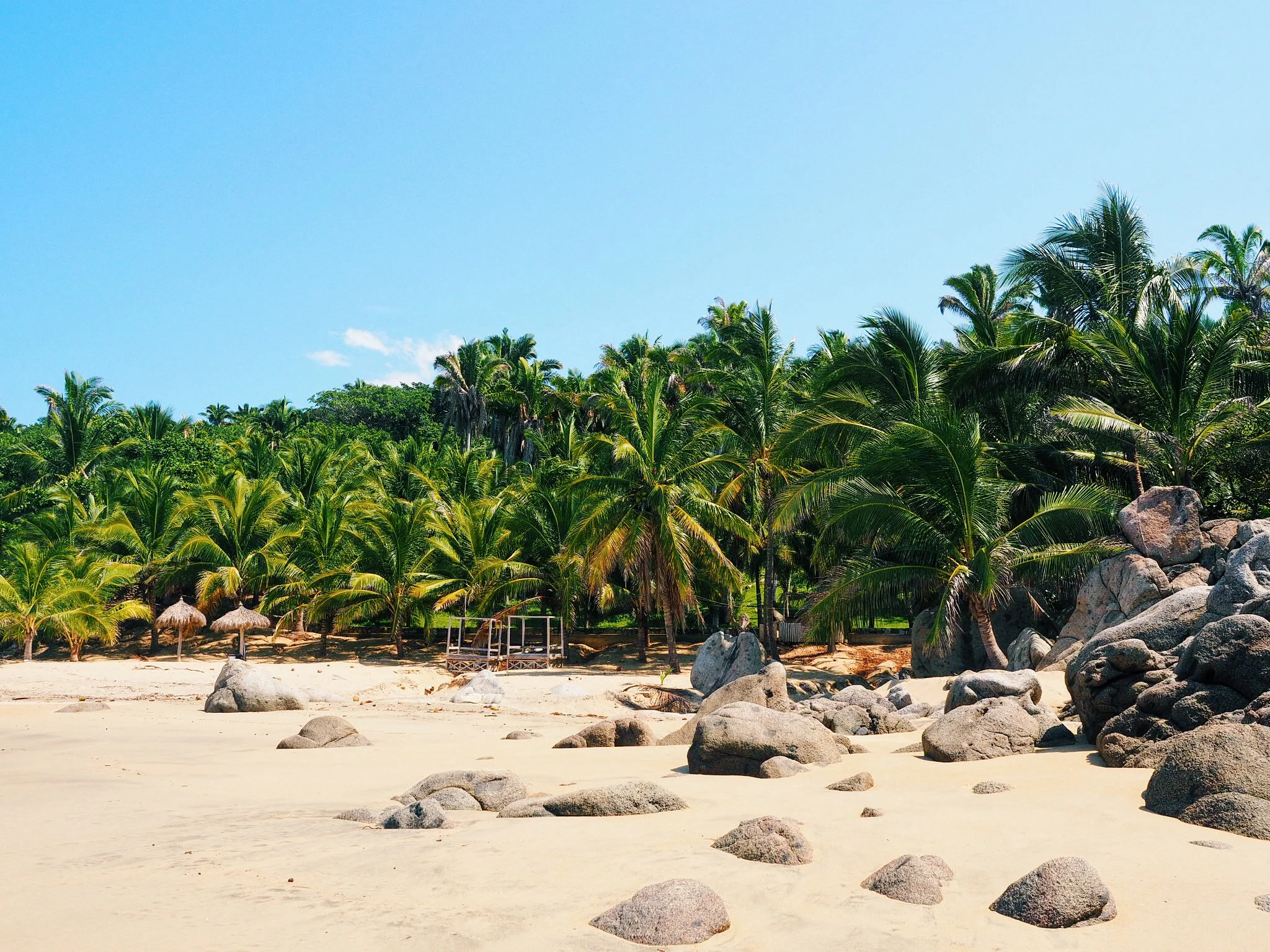 Like A (Sayulita) Local