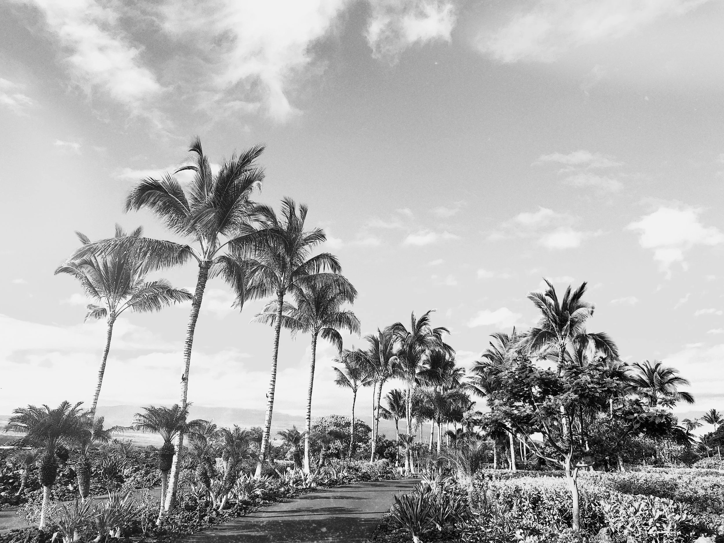 The Big Island, Hawaii