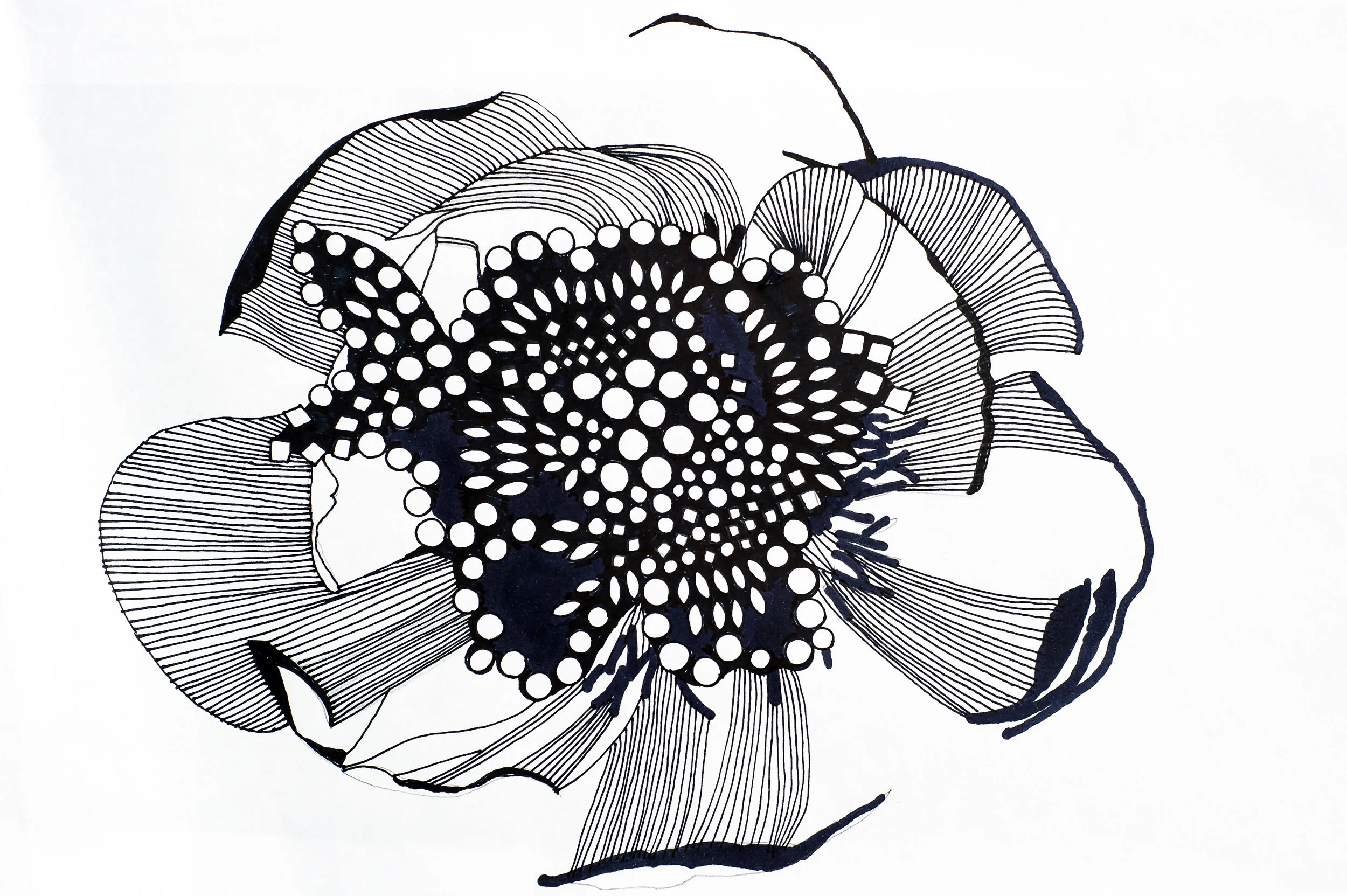 BIG FLOWER BRIGHTENED.jpg