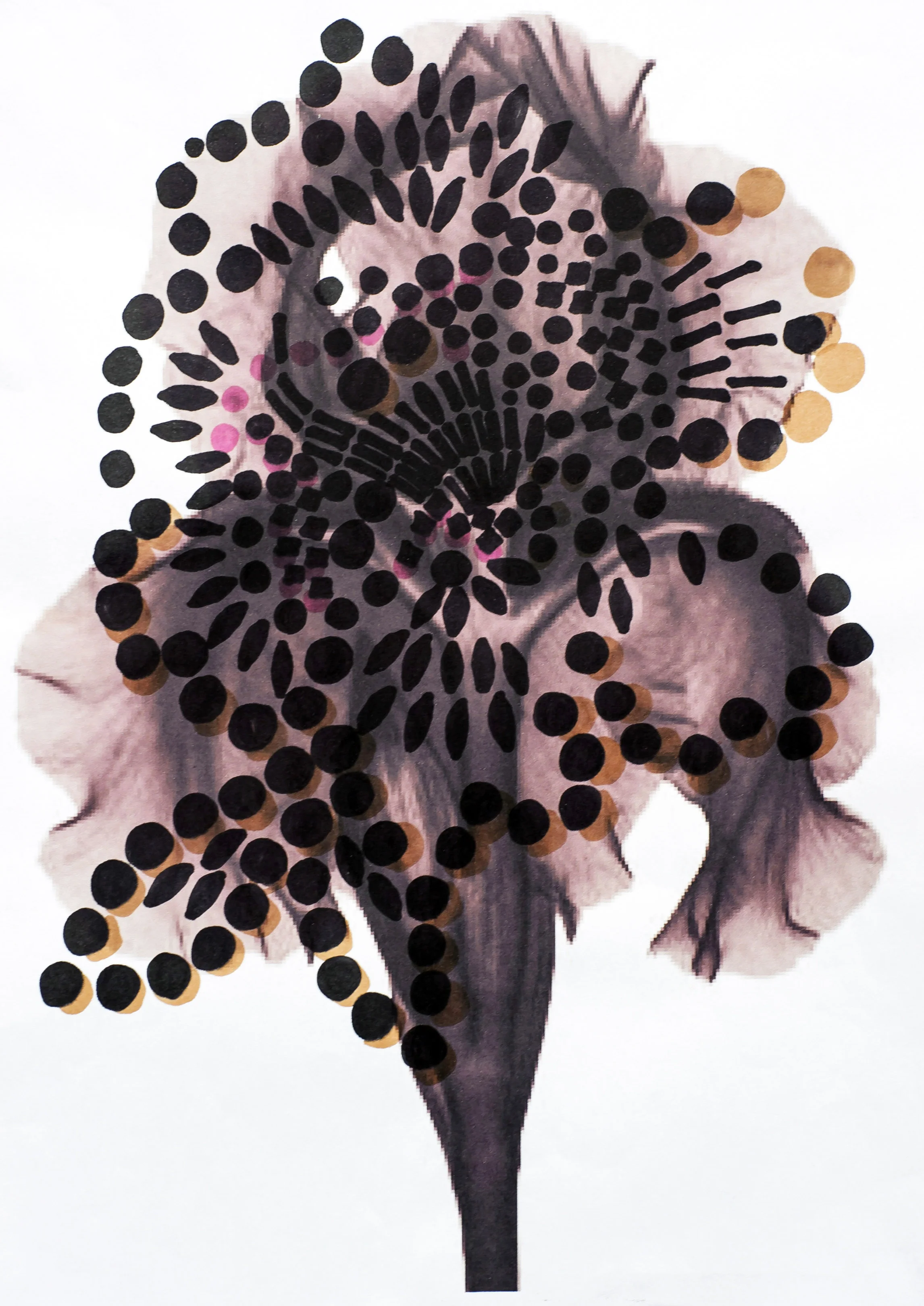 SHADOW FLOWER BRIGHTENED.jpg