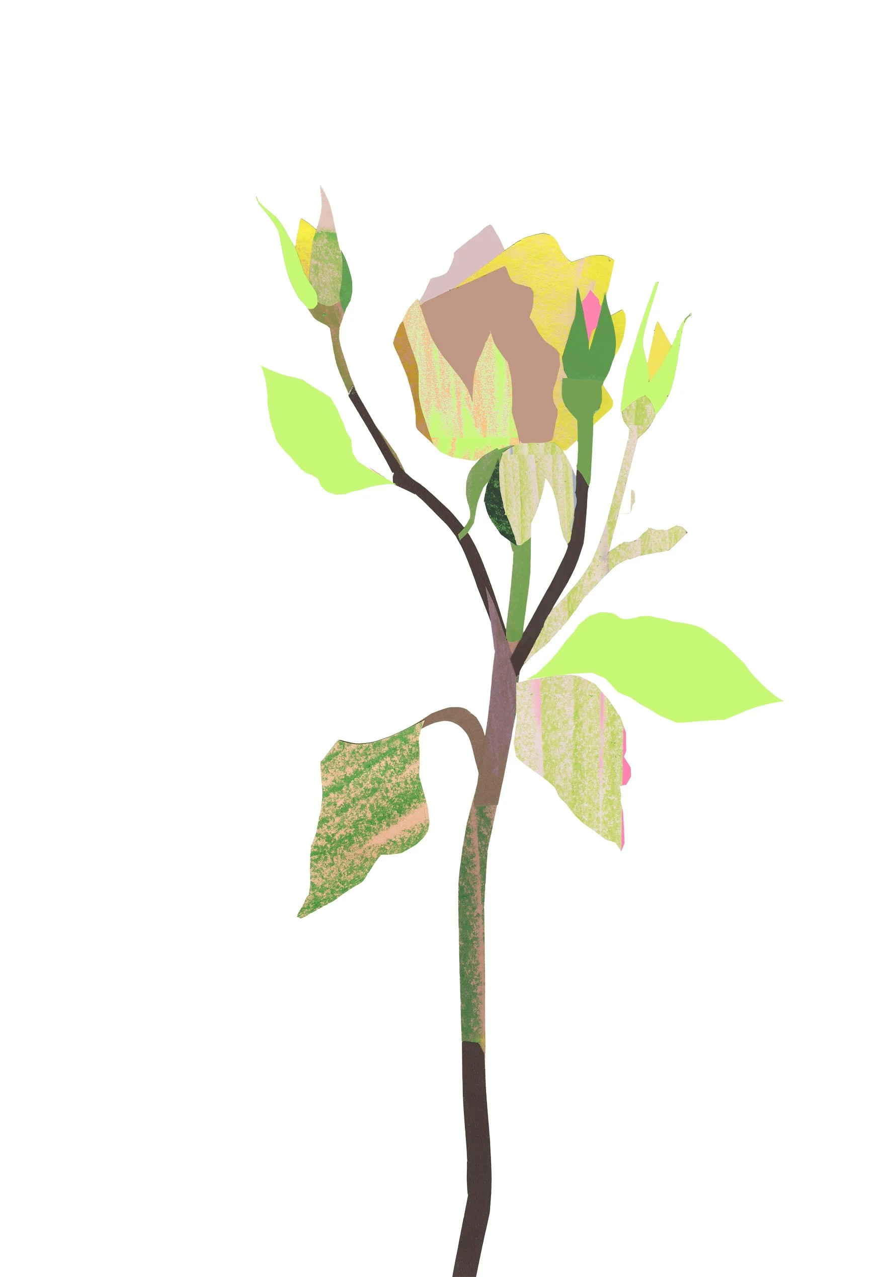 Yellow Rose 2  copy.jpg