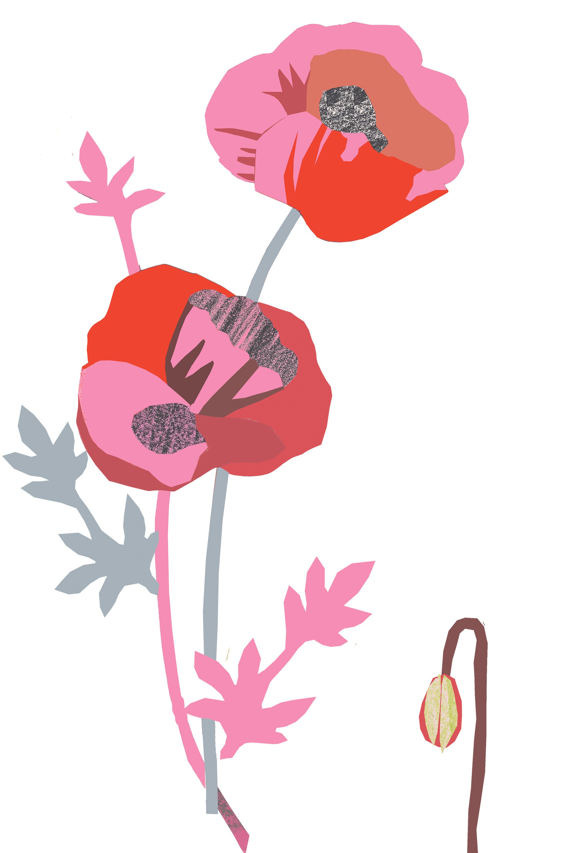 bright red popy copy.jpg