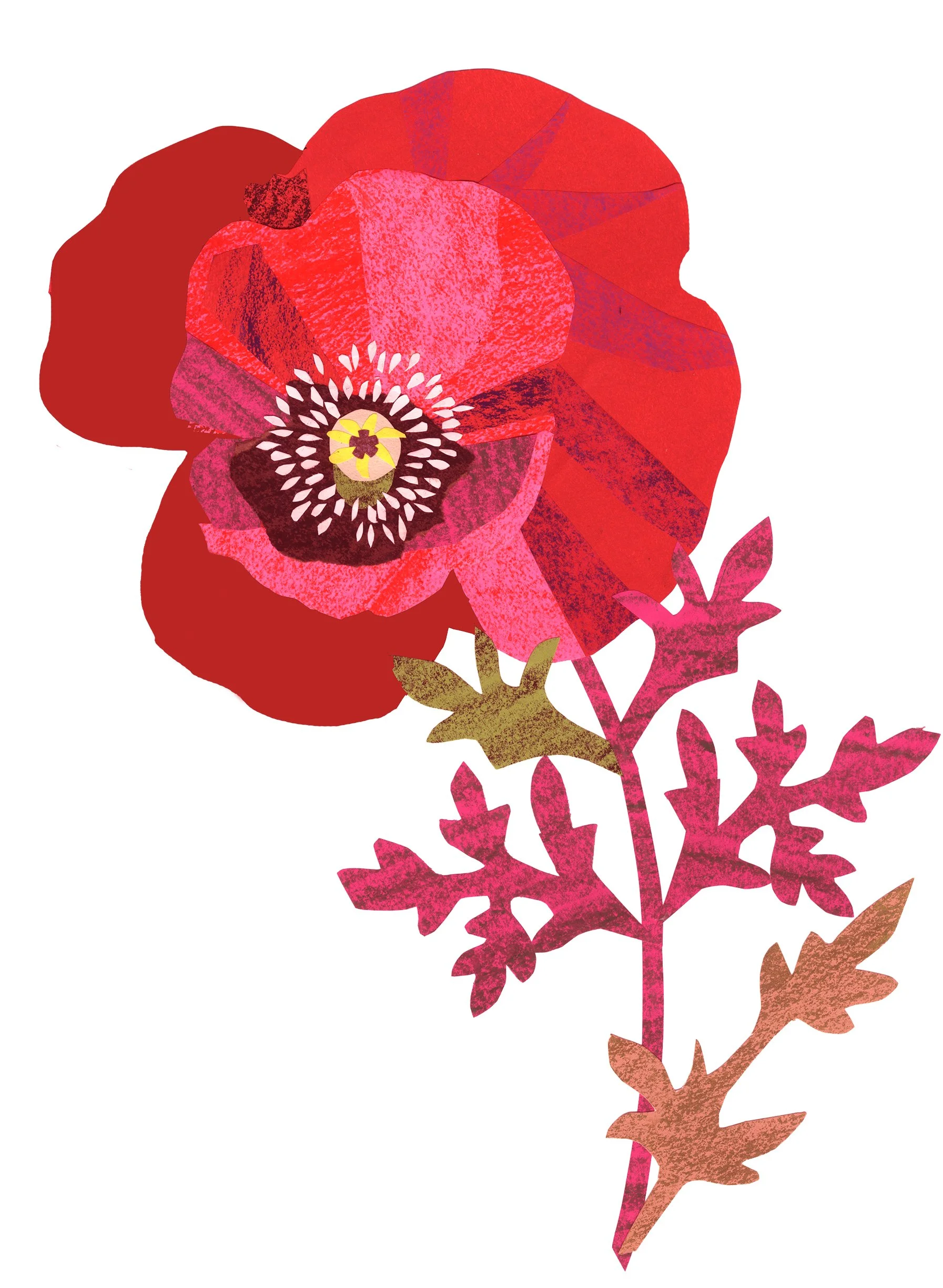 big poppy adapted  copy 3.jpg