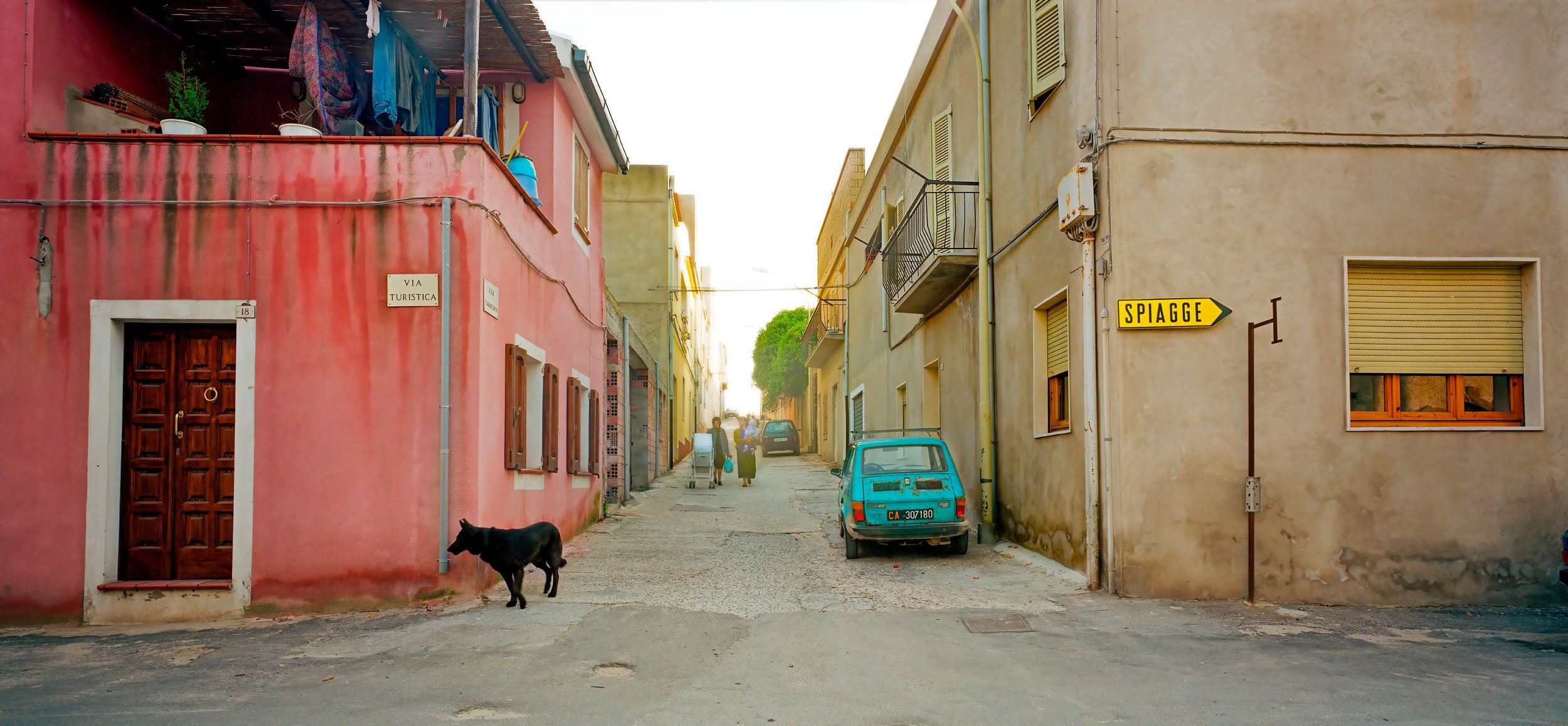 sardinia dog-Edit.jpg
