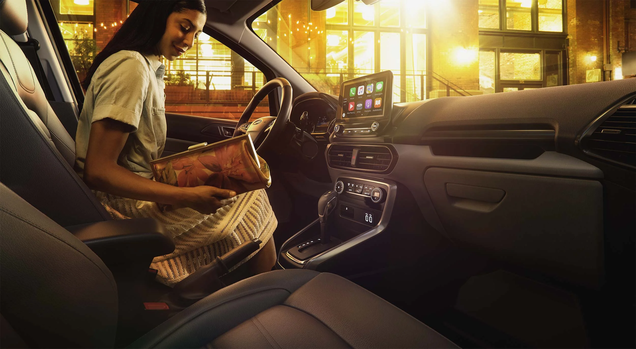 Ecosport_nightscreen.jpg